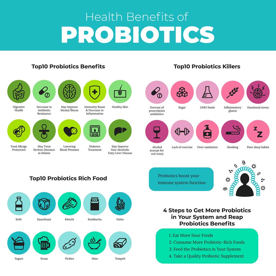 Infographic on health benefits of probiotics